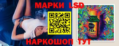 прущие грибы Усть-Илимск