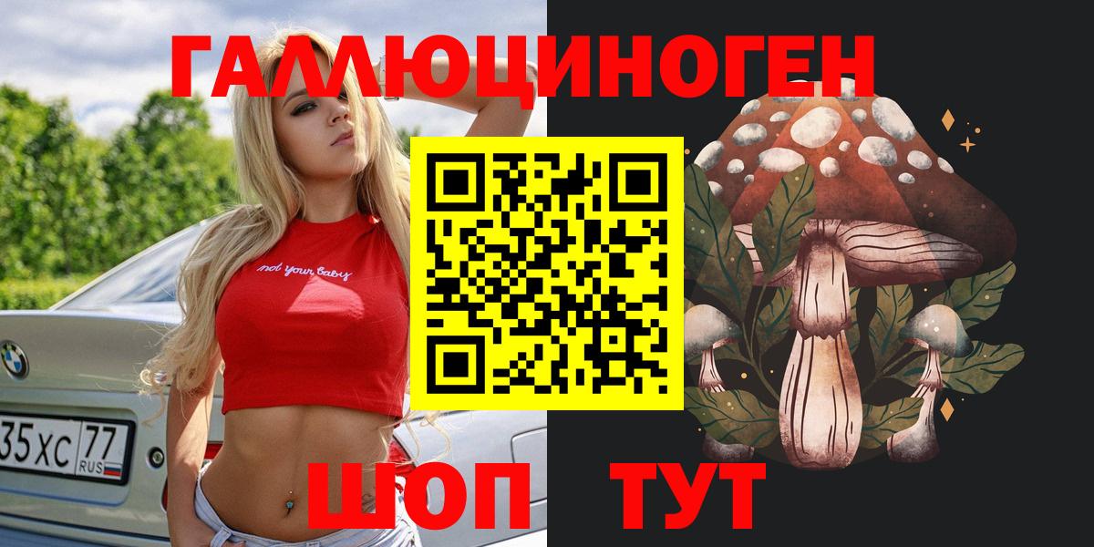 Псилоцибиновые грибы GOLDEN TEACHER  где купить   Всеволожск  Вход с VPN 